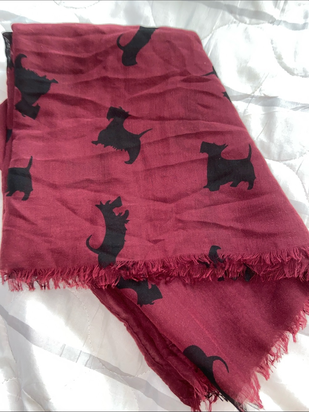 BASS SCOTTIE BURGUNDY SCARF Sheer Infinity WOOF!